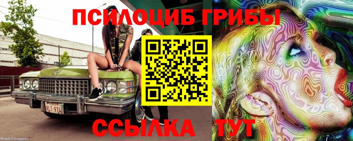 Псилоцибиновые грибы мухоморы Коркино